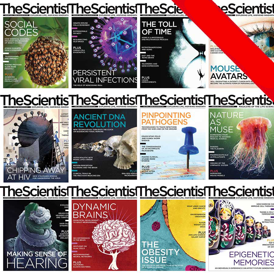 The Scientist ѧ